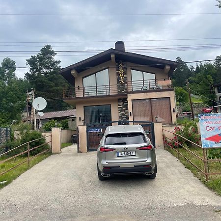 Villa Astoria Bakuriani Luaran gambar