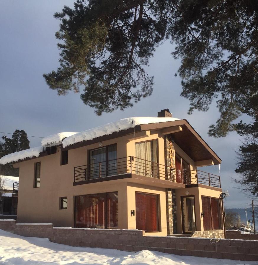 Villa Astoria Bakuriani Luaran gambar